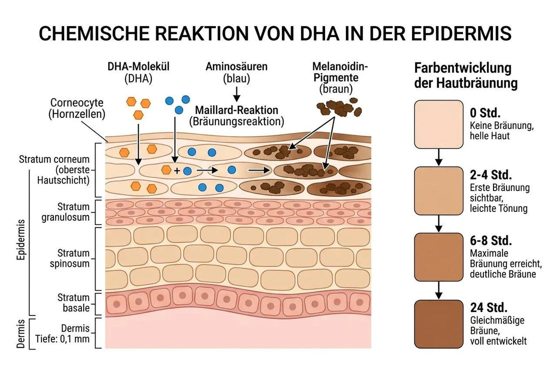 Bräunung ohne Sonne: Wie funktioniert Selbstbräuner & co.? - Magic Tan®